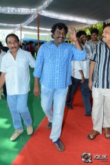 Bengal Tiger Movie Opening